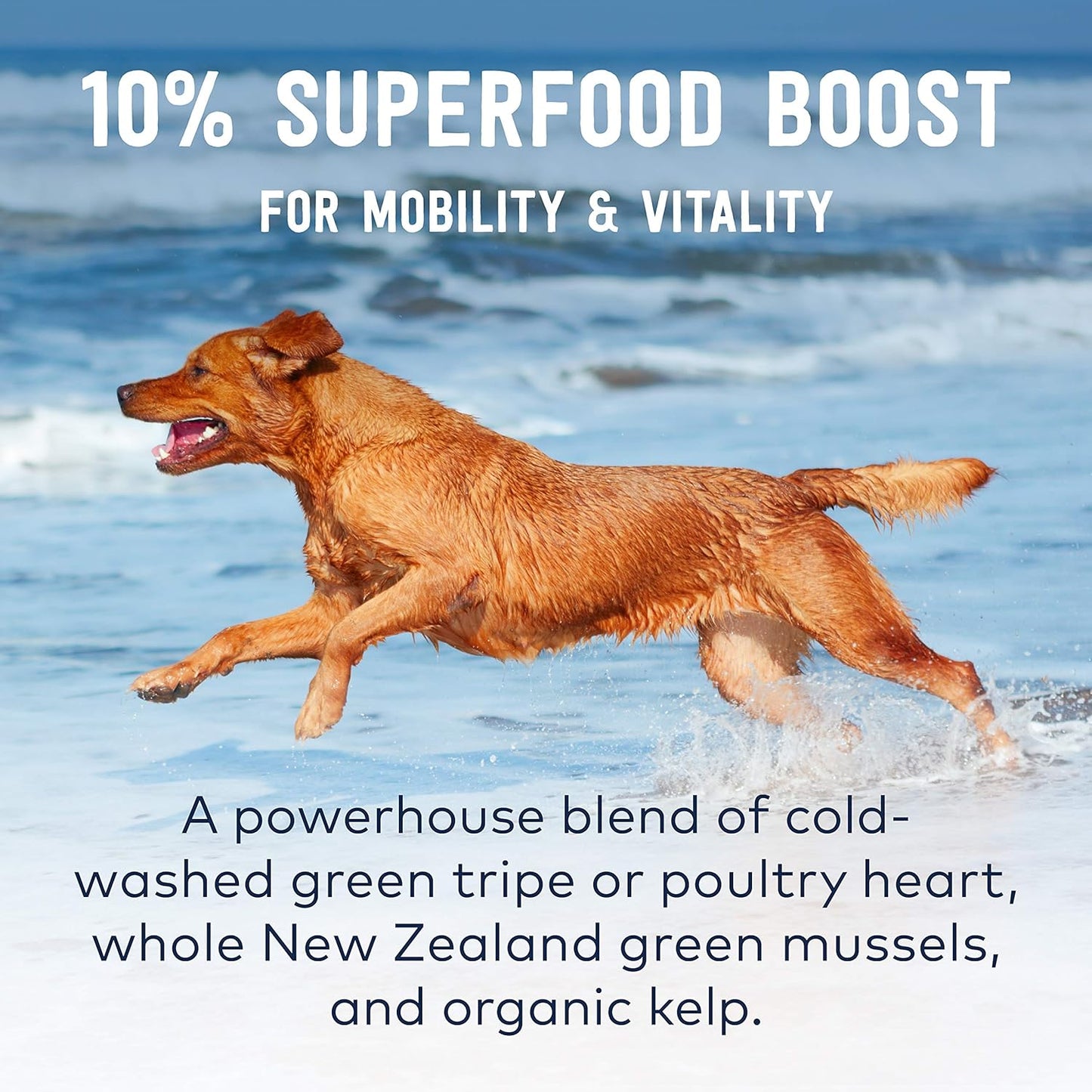Peak Good Dog Rewards Training Treats – All Natural, Grain-Free, Healthy Dog Treats (Beef, 3Oz)