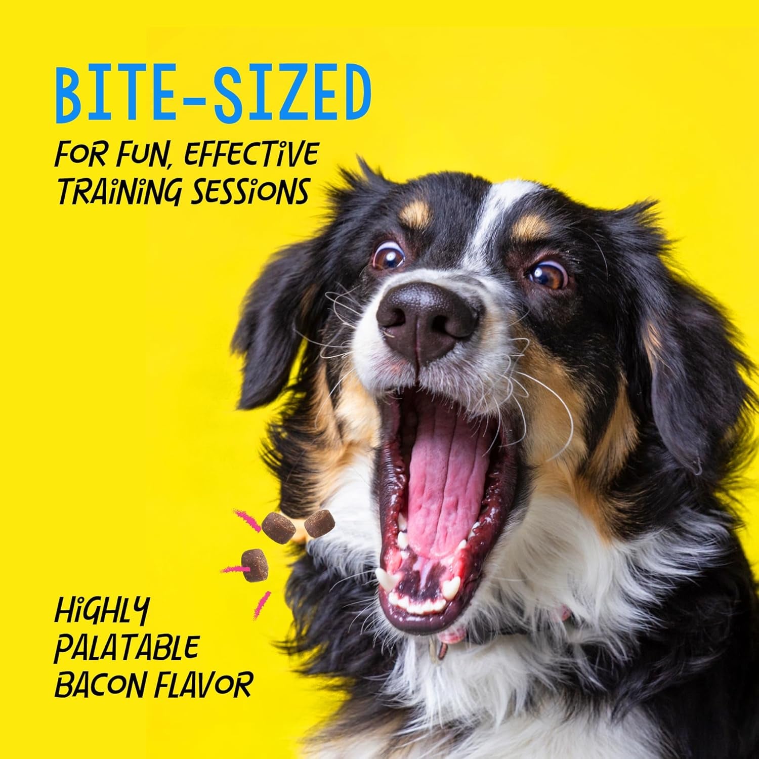 Train-Me! Training Treats 16 Oz. Bag, Bacon Flavor, with 400 Treats per Bag, Recommended by Dog Trainers