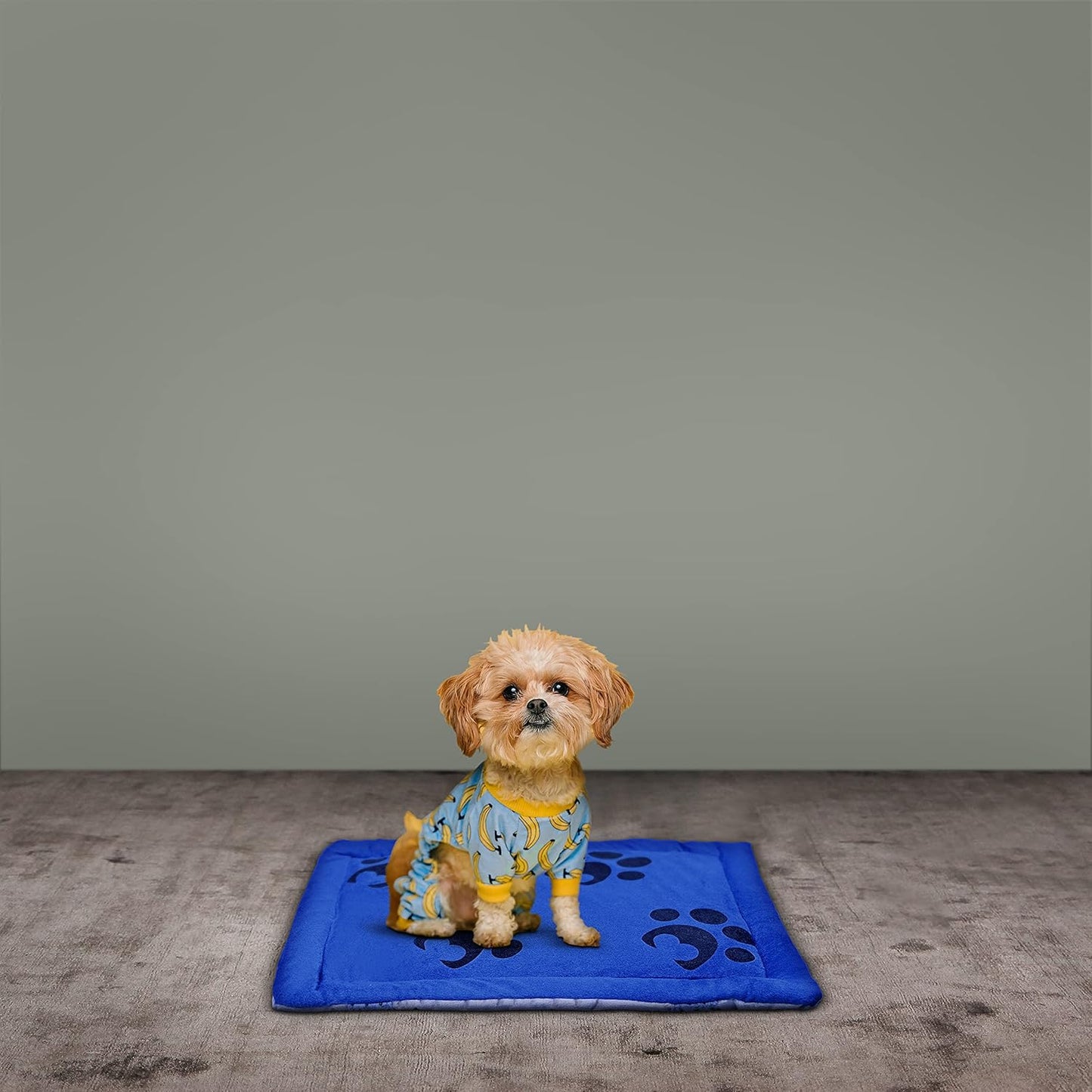 Pet Beds for Small, Medium, and Large Dogs and Cats, Blue Durable Dog Bed for Large Medium Small Dogs Soft Washable Pet Bed Breathable Rectangle Sleeping Bed Anti-Slip Bottom, Multiple Sizes S-L
